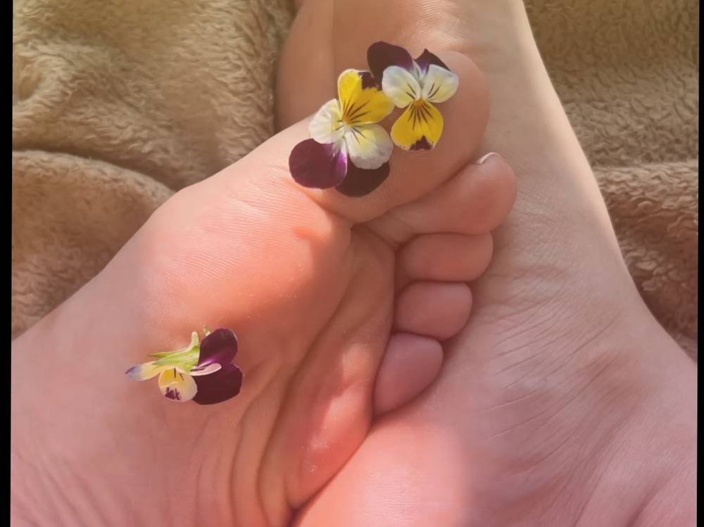 Sweet Tootsies OnlyFans – free nudes, naked, leaked