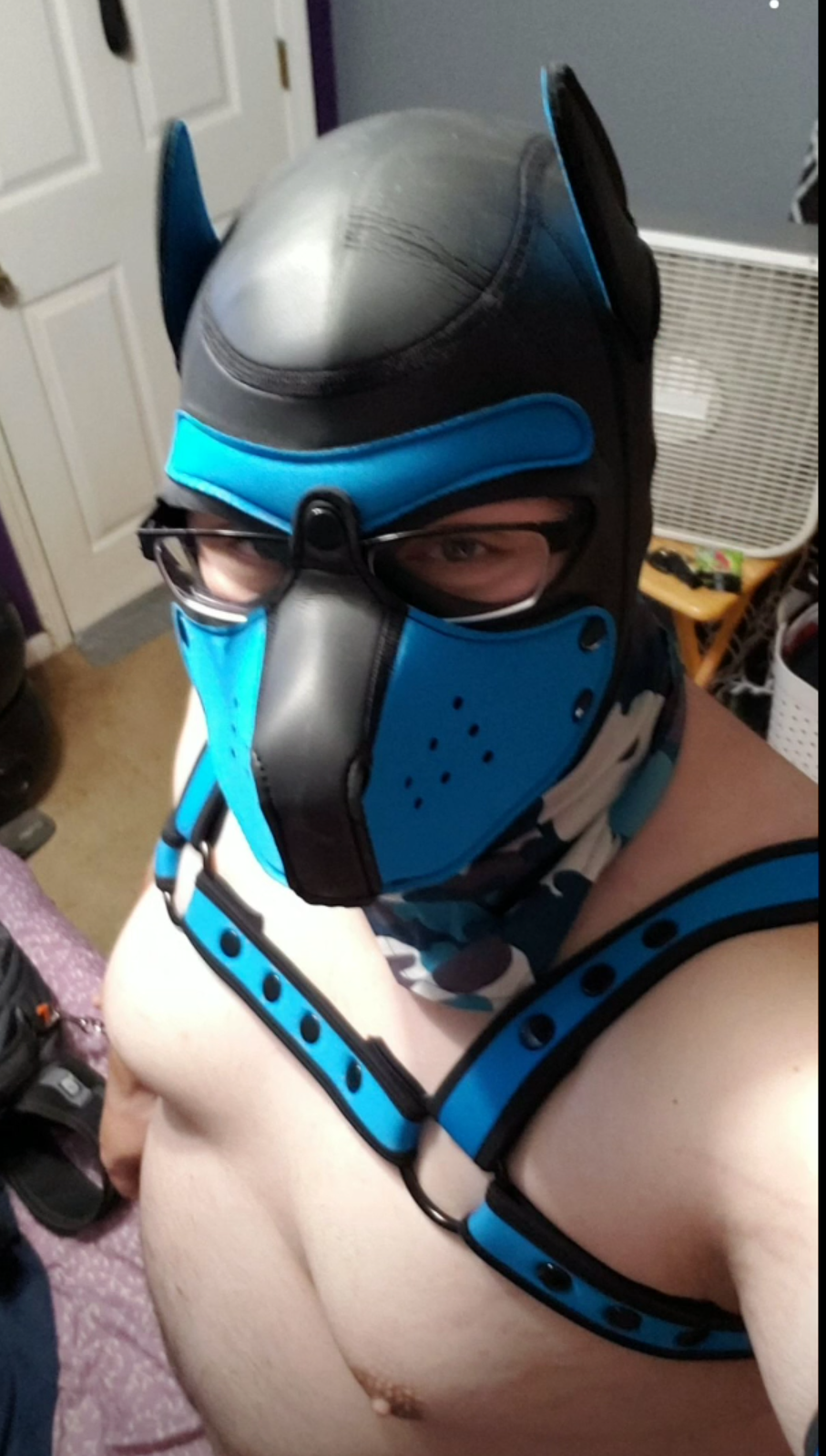 Pup Havoc OnlyFans – free nudes, naked, leaked