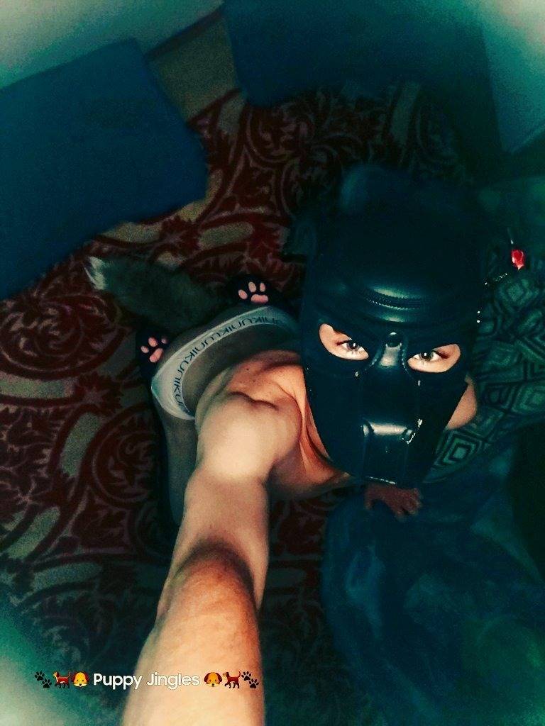 ♧♤♡PuppyToy♡♤♧ OnlyFans – free nudes, naked, leaked