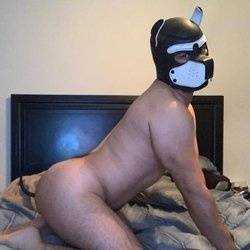 PupHorus OnlyFans – free nudes, naked, leaked