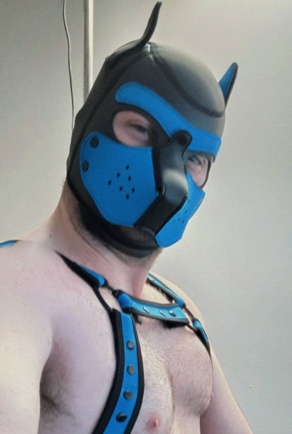 Pup fiction OnlyFans – free nudes, naked, leaked