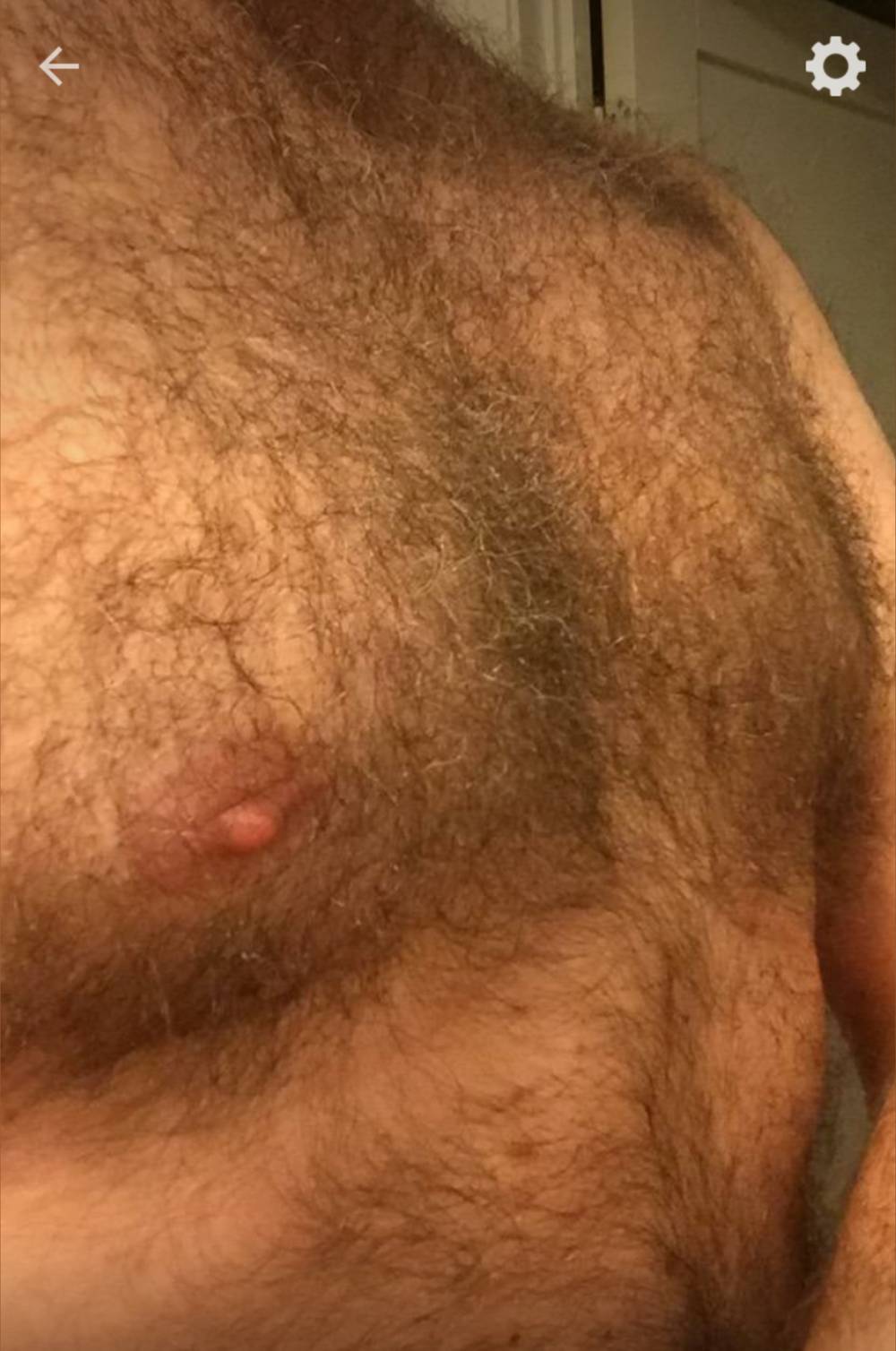 Big, fat hairy bear 4 U OnlyFans – free nudes, naked, leaked