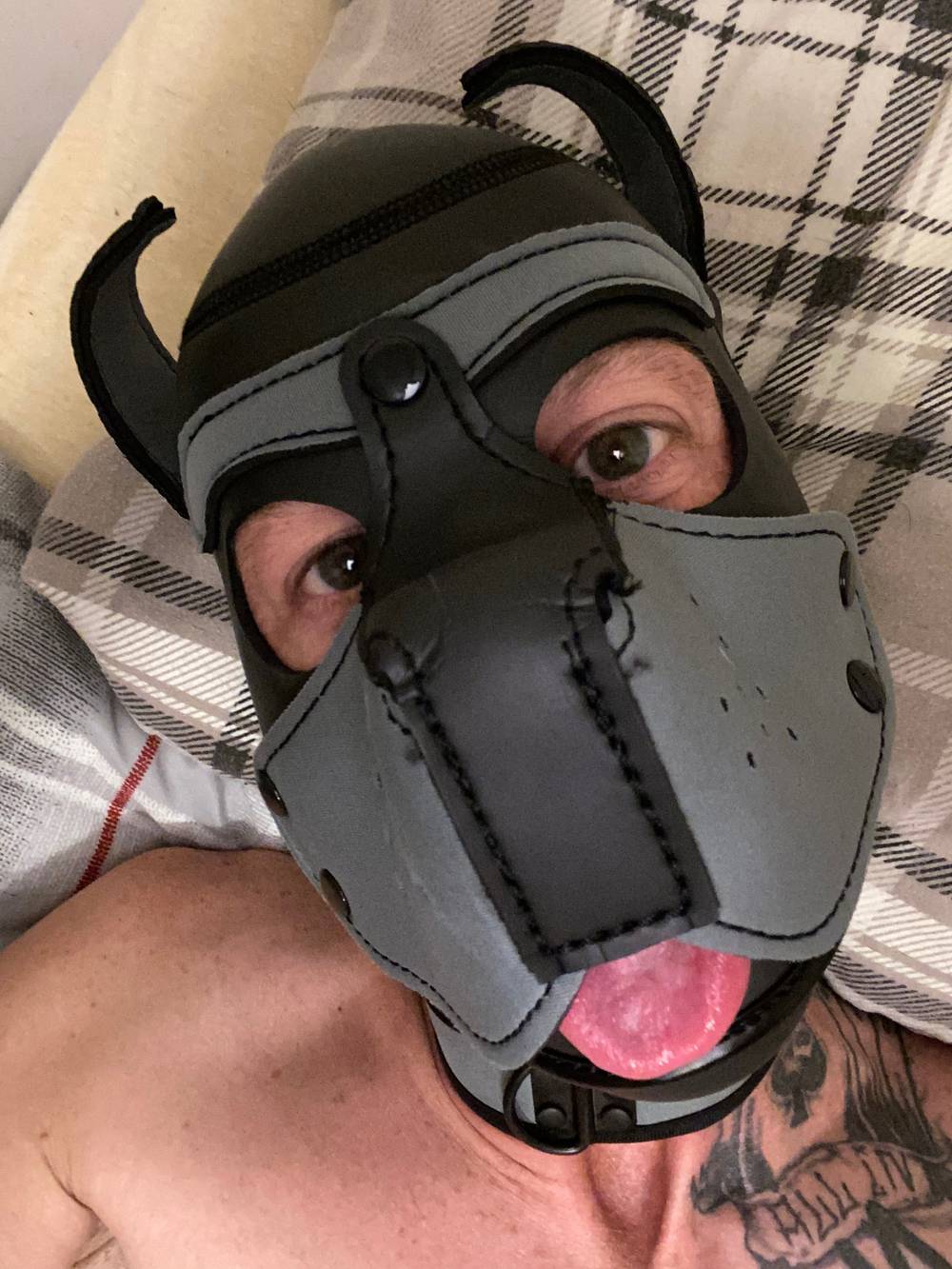 Ryker The Pup OnlyFans – free nudes, naked, leaked