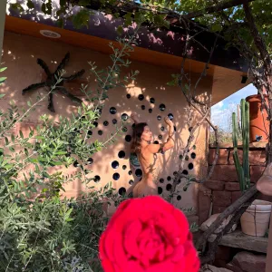 dirtydesertcowgirl OnlyFans – free nudes, naked, leaked