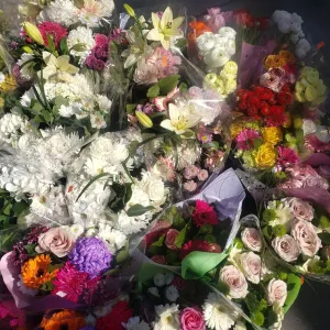 slutstatis OnlyFans – free nudes, naked, leaked