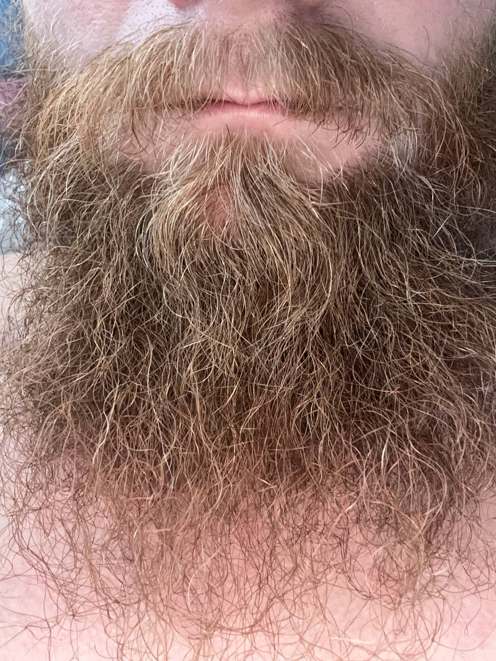 Red Beard 1.0