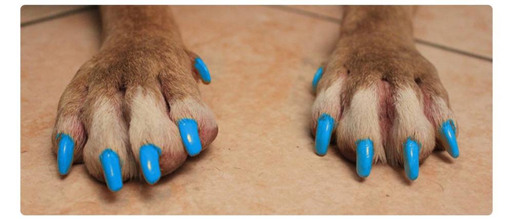Tattedfoot