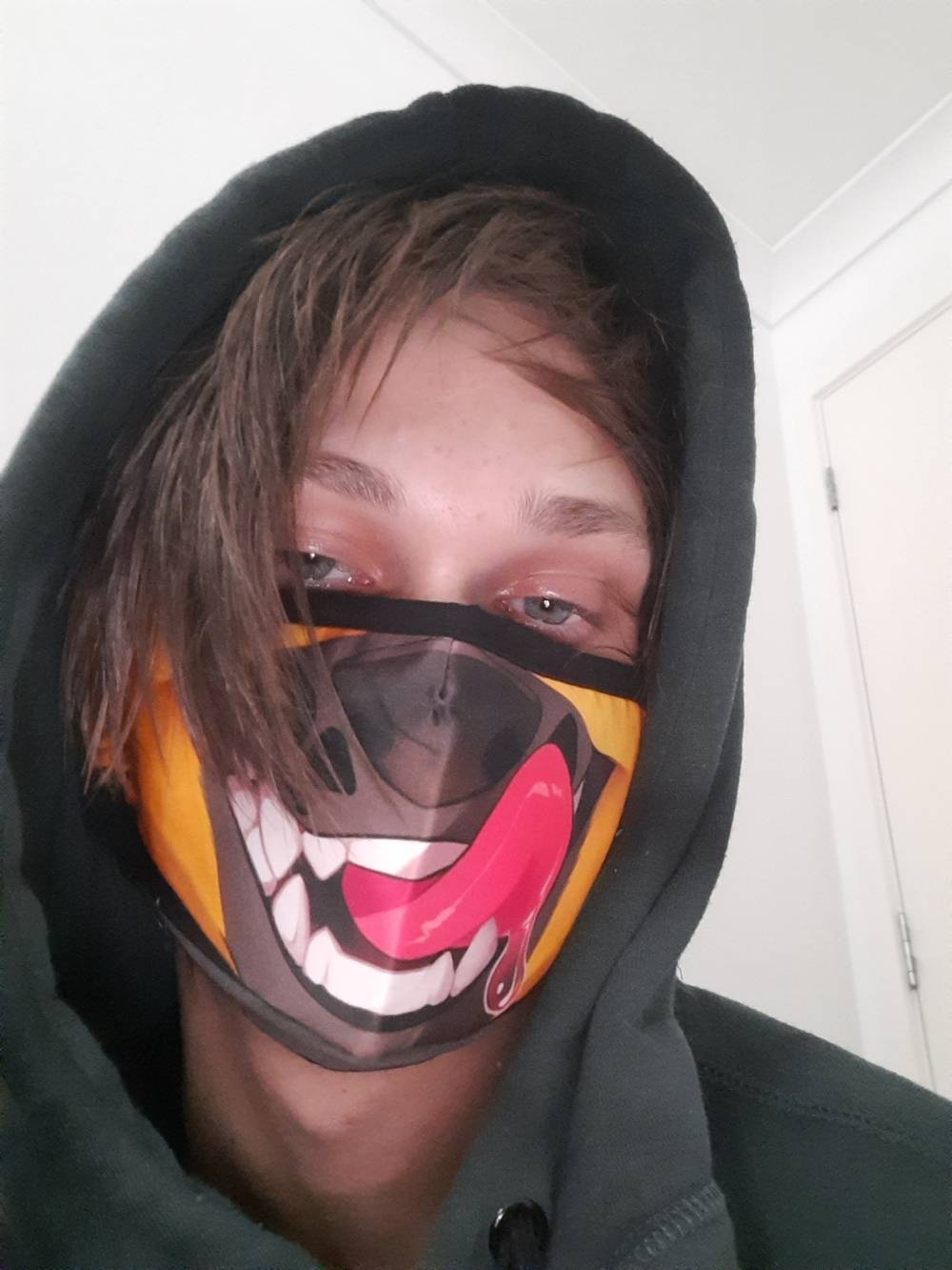 Toast_the_fox