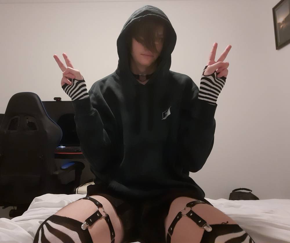 Toast_the_fox