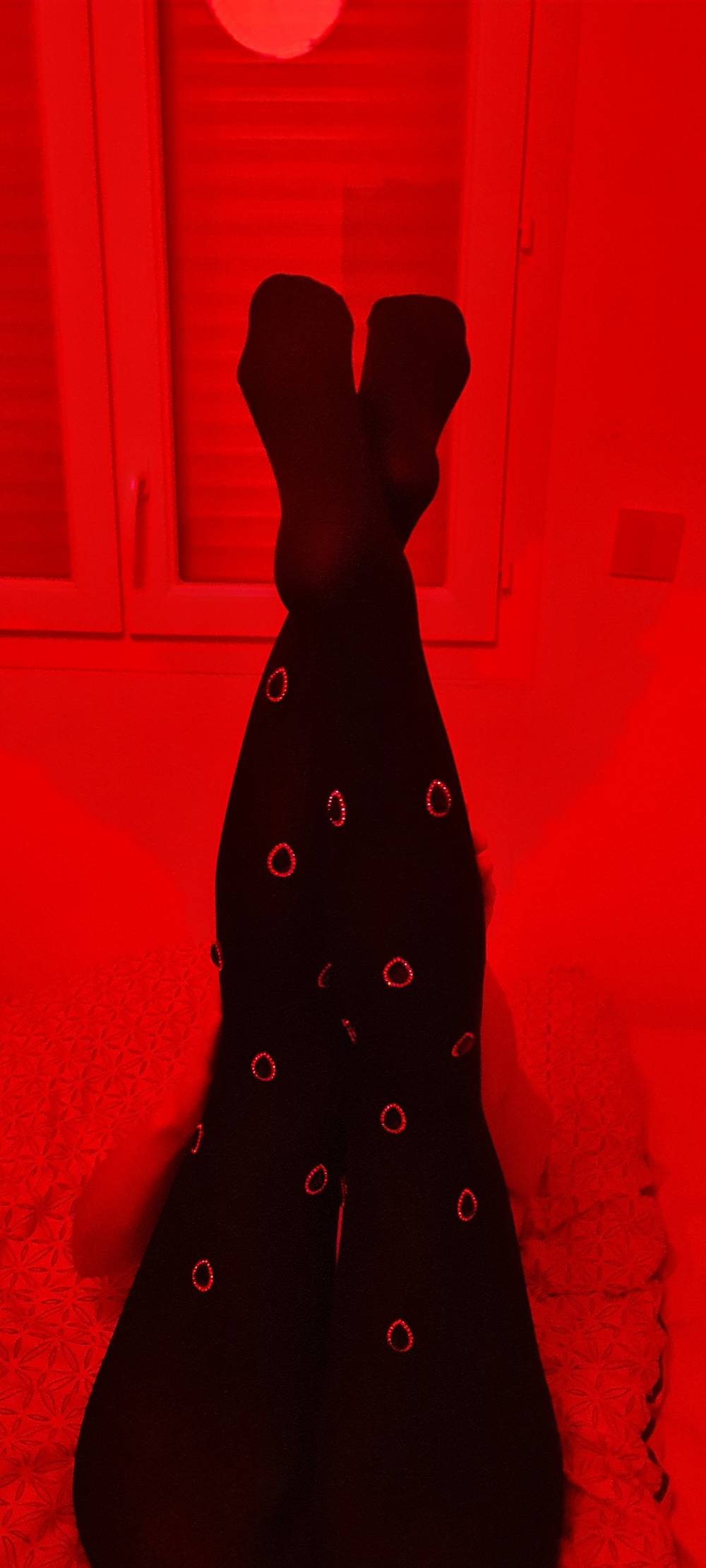 MissBunny