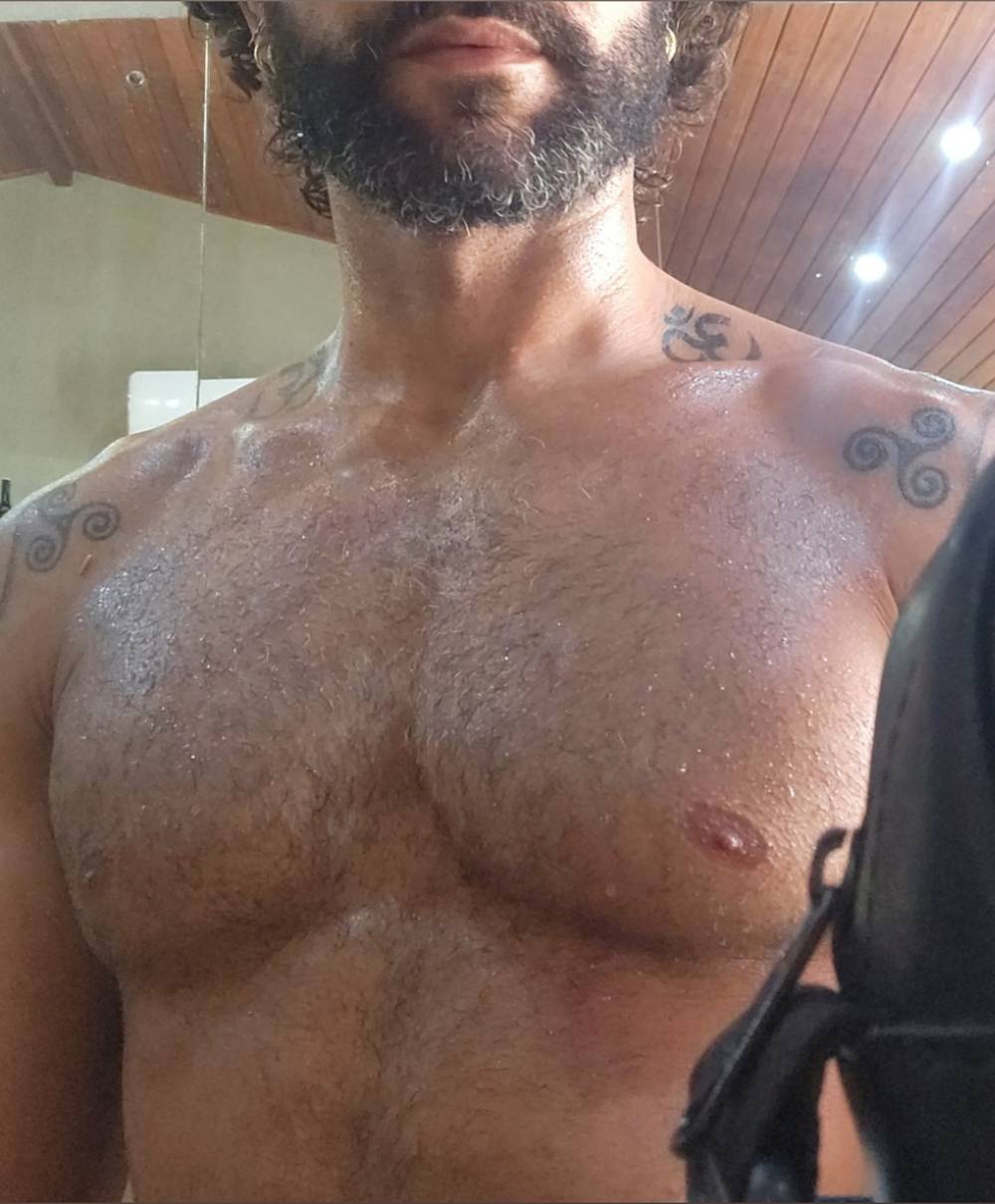 Dragão Alado