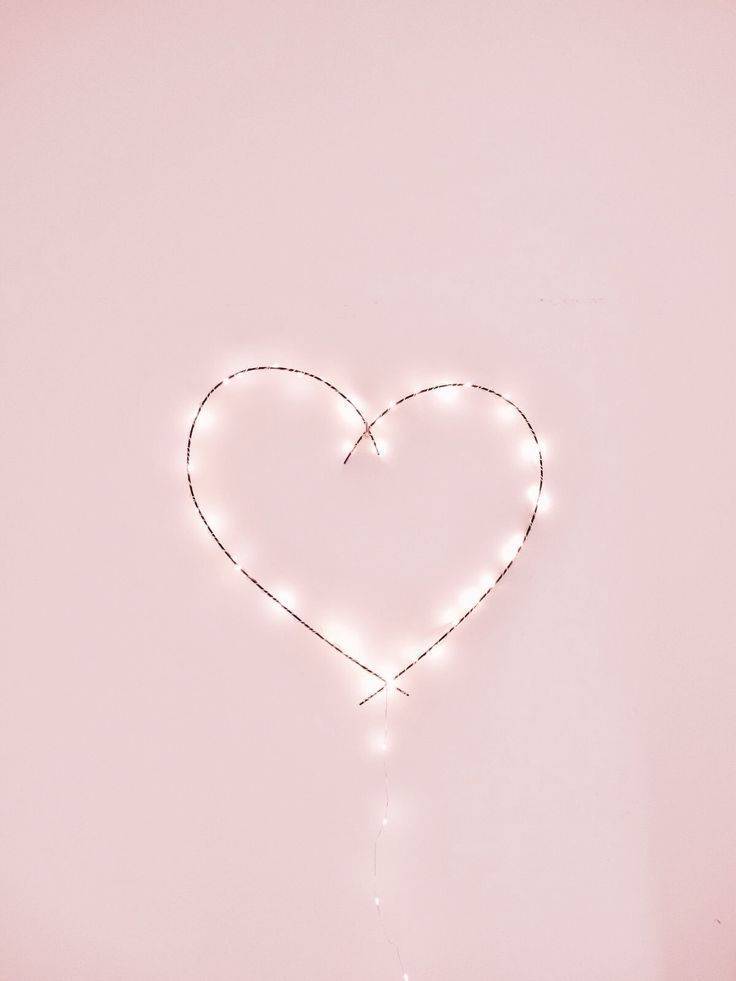 ✨