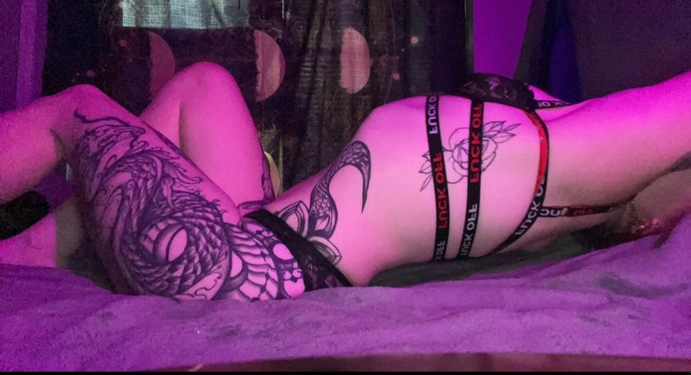 Curiouskitty35745