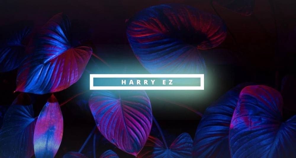 HarryEZ