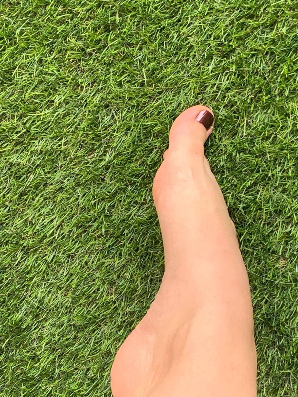 L’Orteil - The Toe