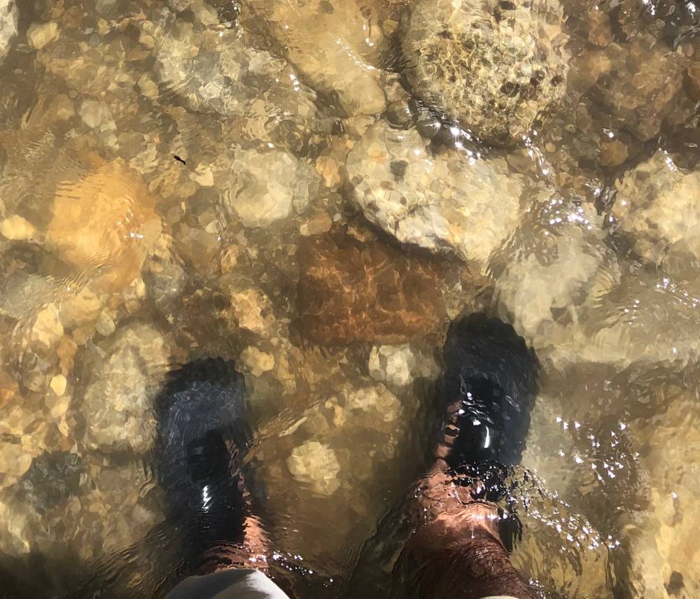 HikerLegs