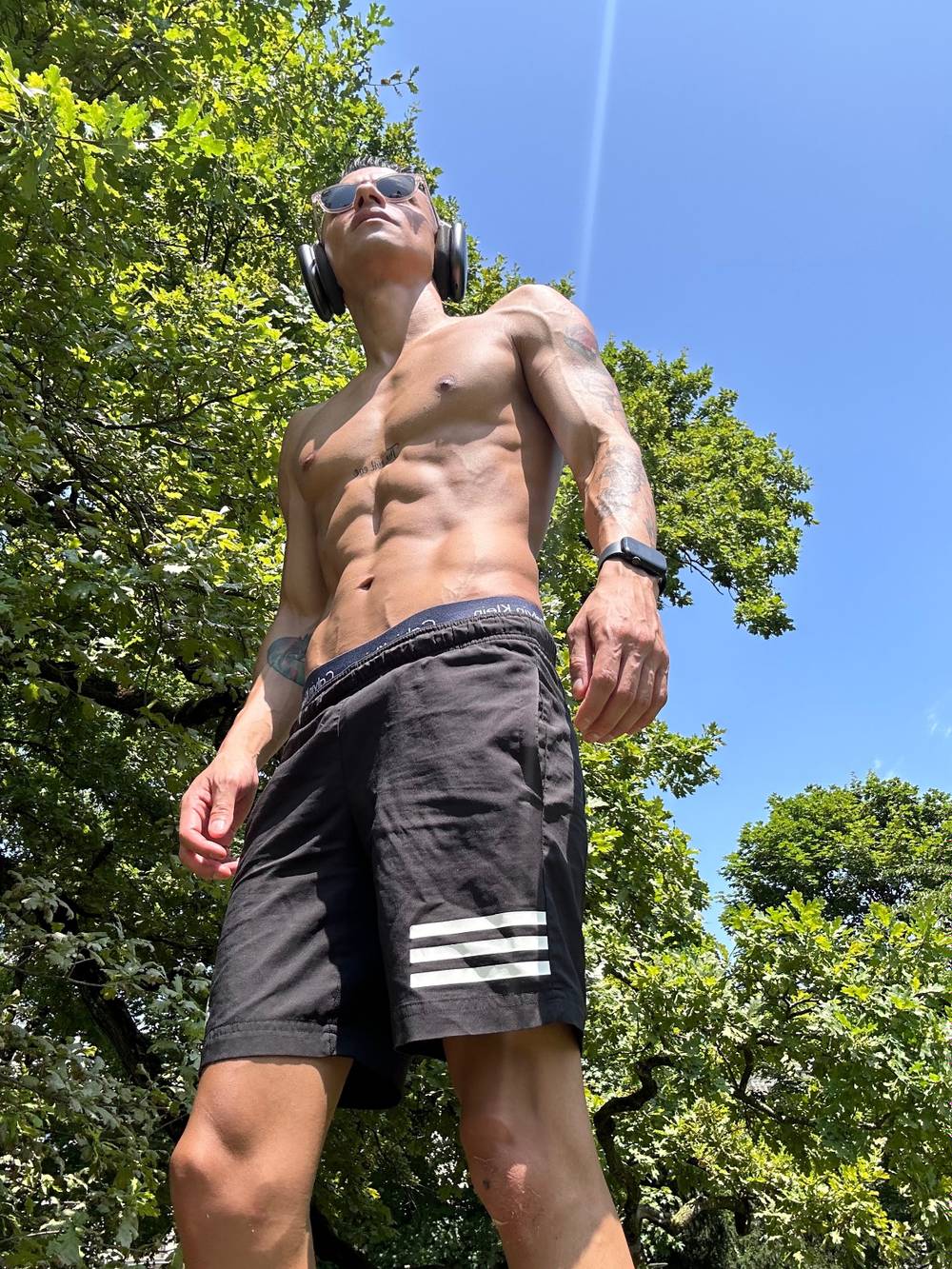 Dante Aries