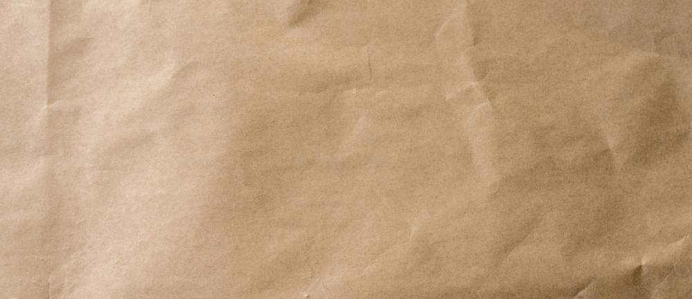 Paper Bag Woman