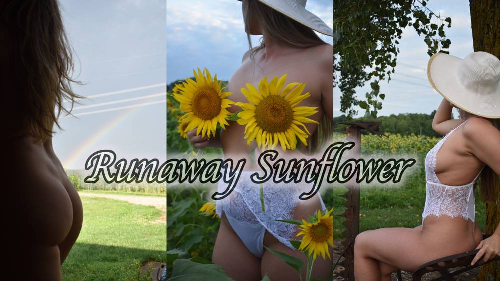 Runaway Sunflower