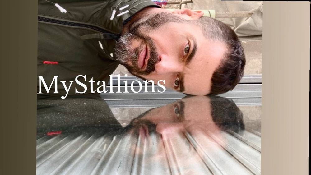 MyStallions