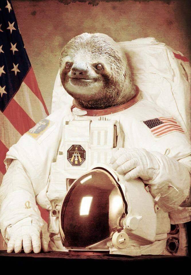 Space Sloth