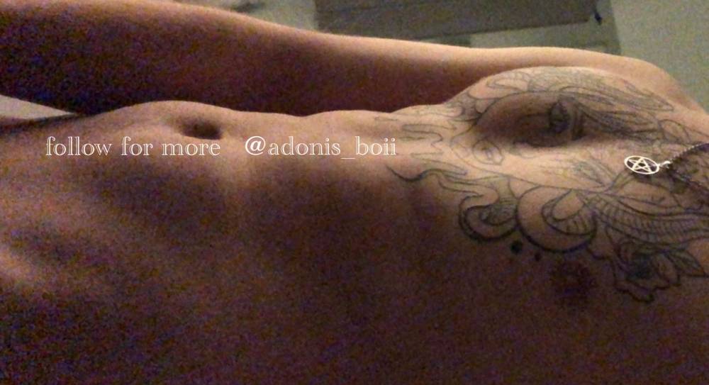 Adonis boii