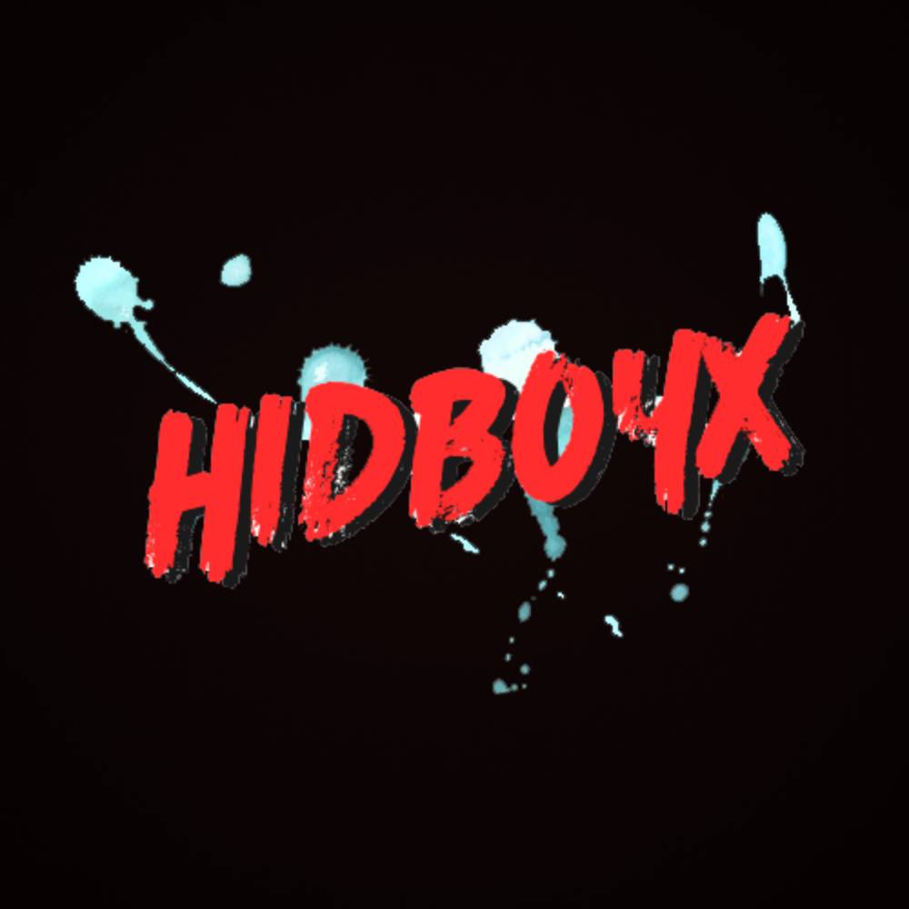 HidBoy X