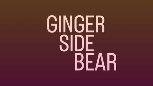 Ginger Side Bear