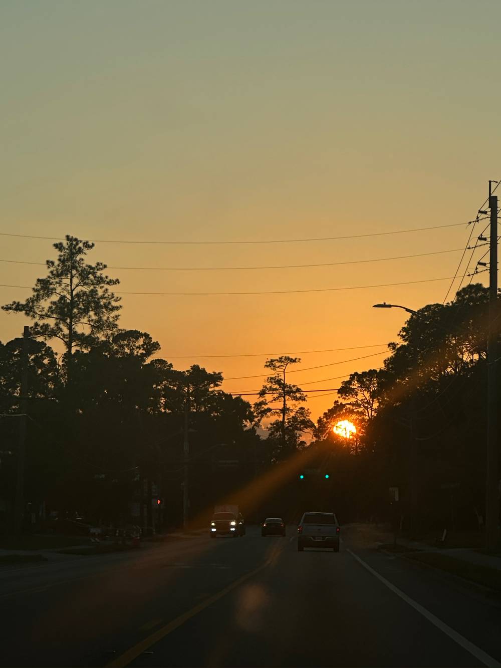 Fl | 19