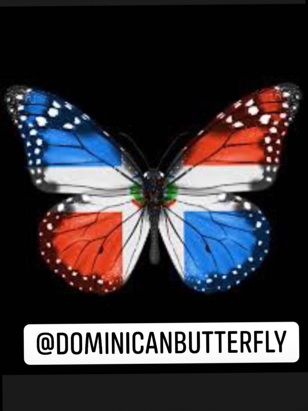 Dominicanbutterfly