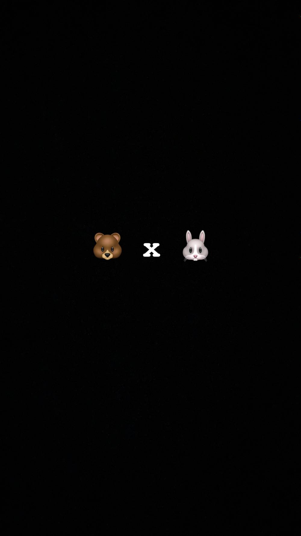 Bear x Bunny