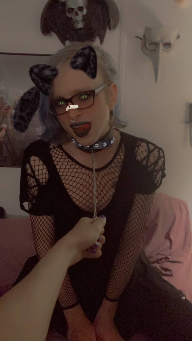 Lilith Estelle Kitten
